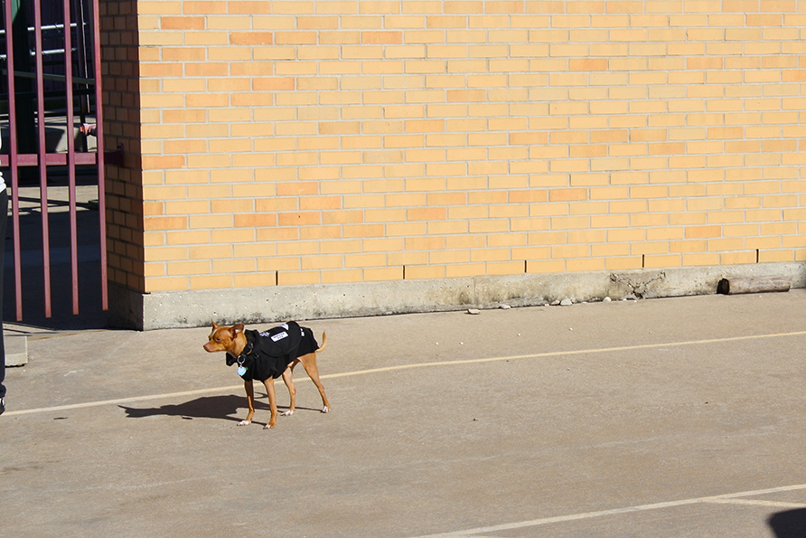 Event Security was small but effective.